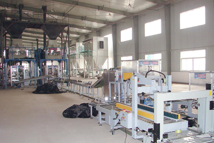 China Seed Industry Seed Processing  (packing line) site